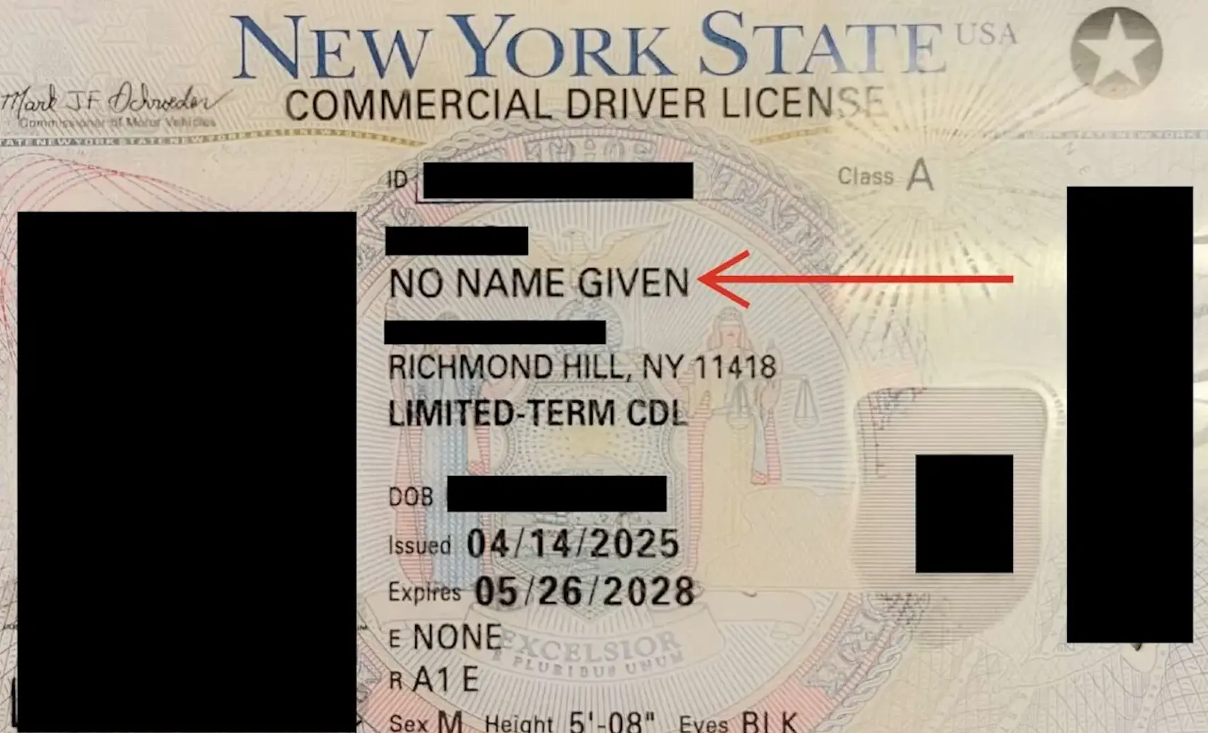 New York driver's license niagara action news